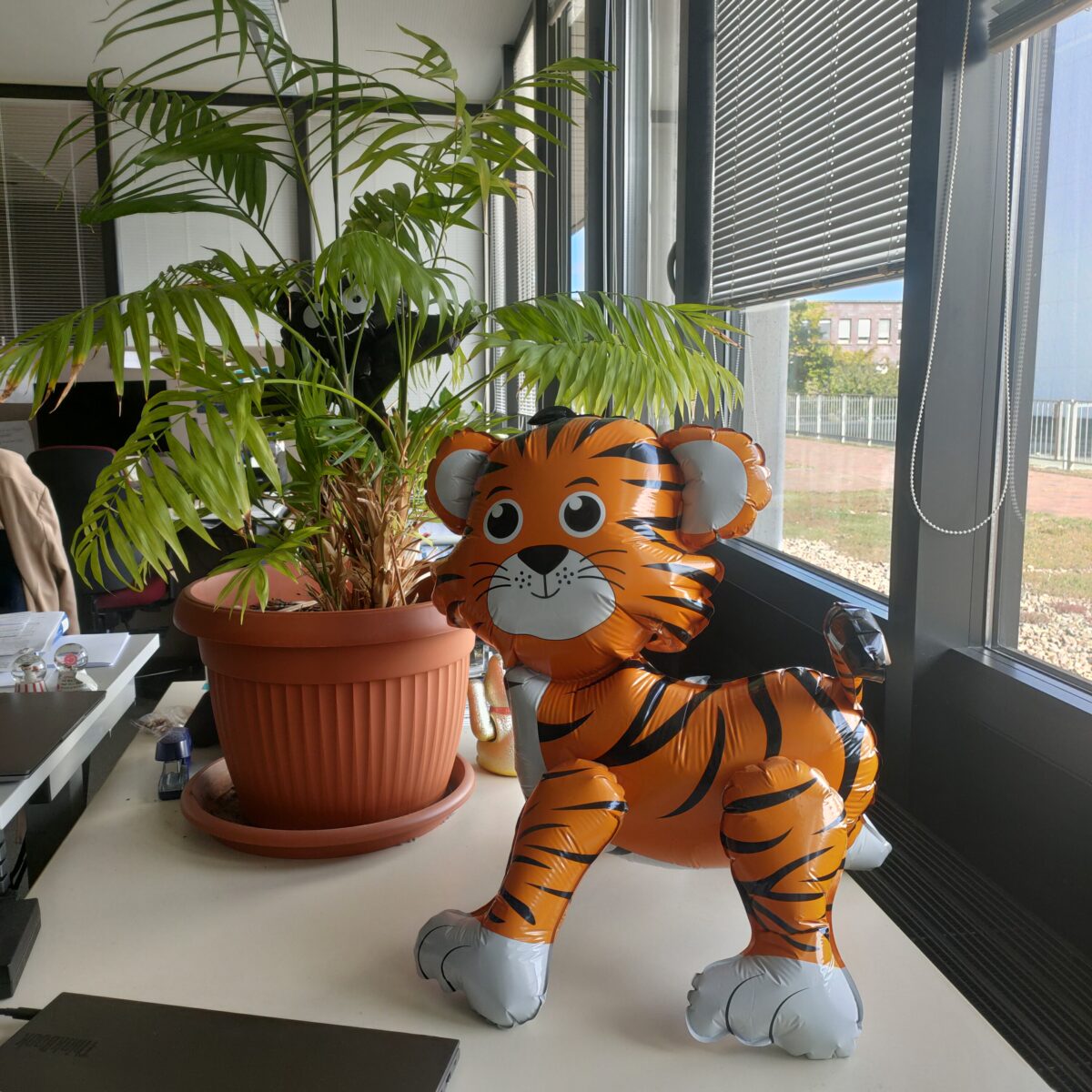 Ein Tiger-Luftballoon neben einer Pflanze im Büro der Fernleihe