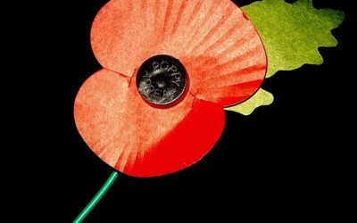 The Remembrance Day Poppy – A Transcontinental Story