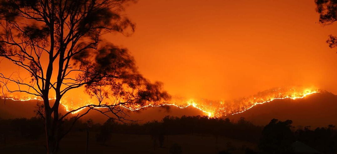 Unsere Erde brennt! – Ein kurzer Überblick über Waldbrände weltweit.