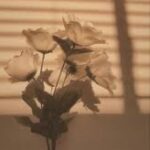 Profilbild von Alina