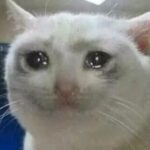 Profilbild von Sarah