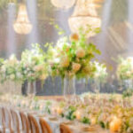 Profilbild von Klara