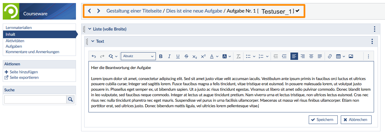 Bearbeitung der Aufgabe