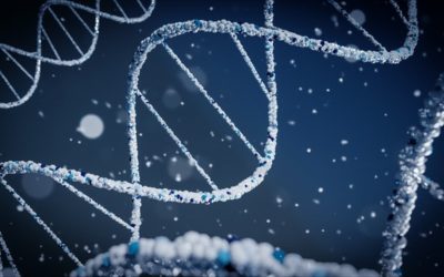 Lernpfad zur DNA und Zellkernteilung