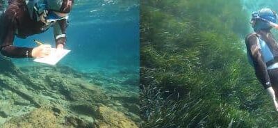 Auslands-Praktikum auf Samos (Griechenland) im „Archipelagos Institute of Marine Conservation“