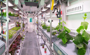 Figure 4: The 'Future Exploration Greenhouse' in EDEN: ISS greenhouse, credit: DLR (CC-BY 3.0).