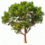 Website-Icon für Blog über Baum - aber auch über Heterogenität