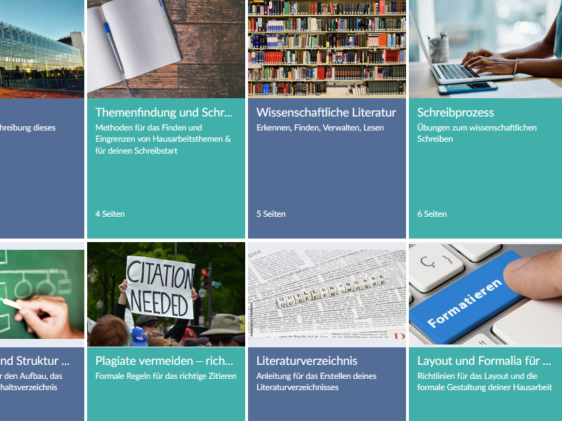 Auf dem Bild ist die Oberfläche eines Courseware Angebots zu sehen.
