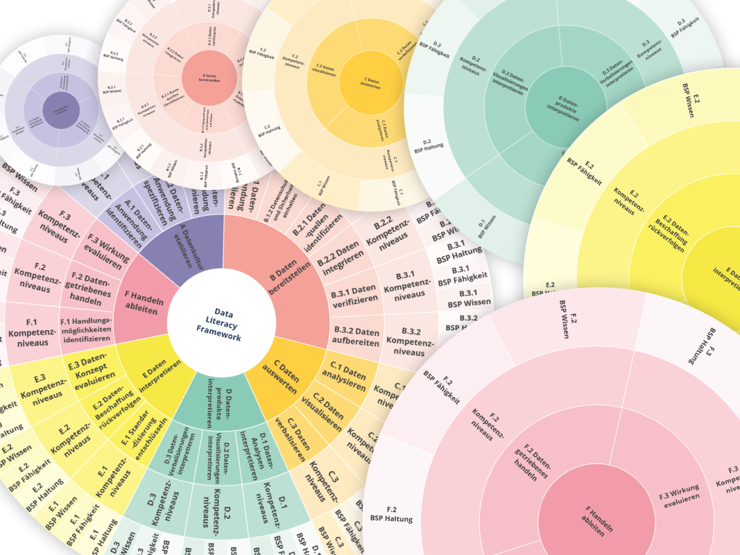 Zu sehen sind verschiedenfarbige Diagramm Kreise, welche mit Kompetenzen beschriftet sind.