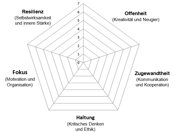 Es wird eine Abbildung gezeigt, die ein Spinnennetz mit fünf Bereichen aufzeigt: Resilienz, Offenheit, Zugewandheit, Haltung und Fokus. 